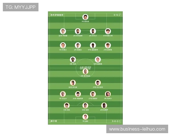 西布罗姆维奇最新动态：球队阵容调整与赛季目标解析