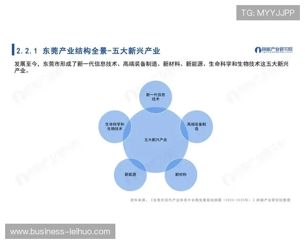 广东省足球联赛全景解析及青年赛事发展趋势报告